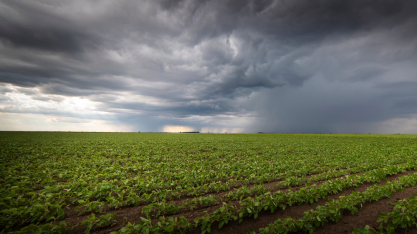 El Niño desafia produção agrícola e exige planejamento de Engenharia no campo