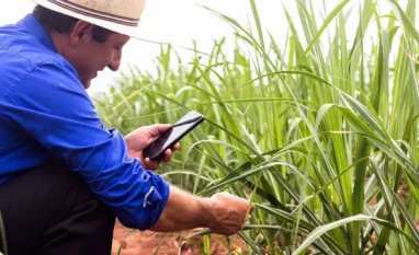 Agro brasileiro atinge maturidade digital recorde e iguala média das indústrias em 2025