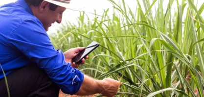 Agro brasileiro atinge maturidade digital recorde e iguala média das indústrias em 2025