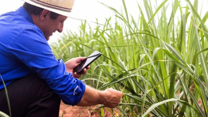 Agro brasileiro atinge maturidade digital recorde e iguala média das indústrias em 2025