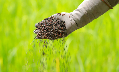 Normalização no Oriente Médio reduz riscos para fertilizantes, mas não elimina pressões sobre o mercado