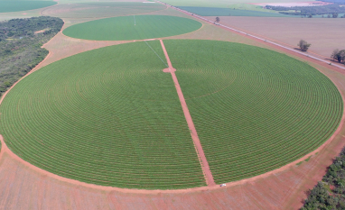 Consumo de energia na agricultura irrigada cresceu 11% nos últimos três anos em Goiás 