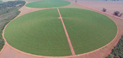 Consumo de energia na agricultura irrigada cresceu 11% nos últimos três anos em Goiás 