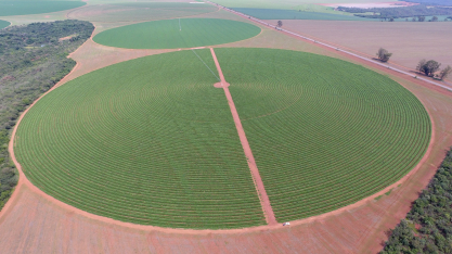 Consumo de energia na agricultura irrigada cresceu 11% nos últimos três anos em Goiás 