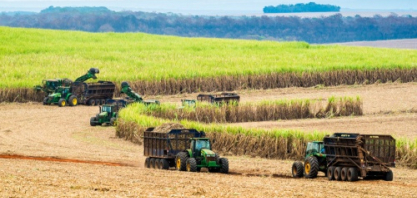 Safra de cana 2026/27 deve ser a segunda maior da história, mas produção de açúcar recua