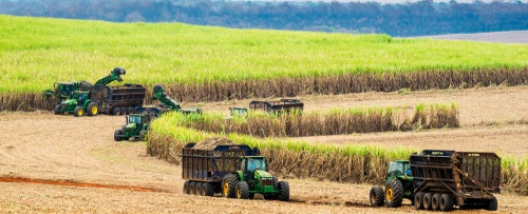 Safra de cana 2026/27 deve ser a segunda maior da hist&oacute;ria, mas produ&ccedil;&atilde;o de a&ccedil;&uacute;car recua