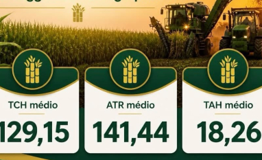 Beggio Lorenzo Agropecuária encerra safra com TCH médio de 129,15 t/ha