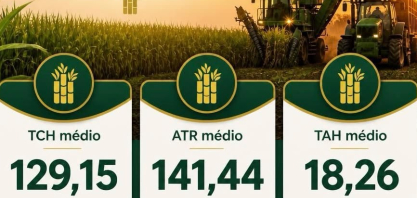 Beggio Lorenzo Agropecuária encerra safra com TCH médio de 129,15 t/ha