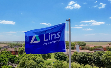 Lins Agroindustrial amplia olhar sobre critérios de compra no setor bioenergético