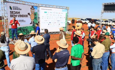 Feira Nacional e Encontro da Cultura do Amendoim: Dia de Campo trará tecnologias e soluções para aumento da produtividade