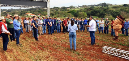 Em cenário adverso, Feira Nacional do Amendoim reúne cadeia produtiva para discutir futuro da cultura