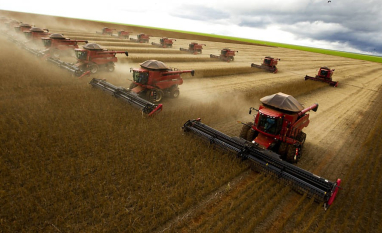 Agro bate recorde de produção, mas enfrenta margens estreitas e crédito caro; produtora rural analisa o que pode definir a próxima virada do setor