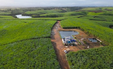 Usinas do Nordeste registram ganhos de até 92,8% na produtividade da cana com irrigação por gotejamento