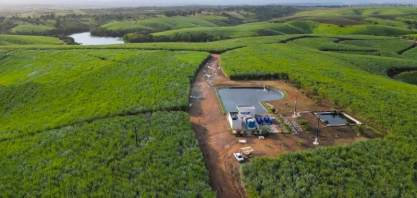Usinas do Nordeste registram ganhos de até 92,8% na produtividade da cana com irrigação por gotejamento