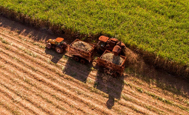 Conab estima produção de cana-de-açúcar em 705,2 milhões de toneladas na safra 2026/27