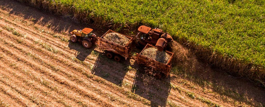 Conab estima produ&ccedil;&atilde;o de cana-de-a&ccedil;&uacute;car em 705,2 milh&otilde;es de toneladas na safra 2026/27