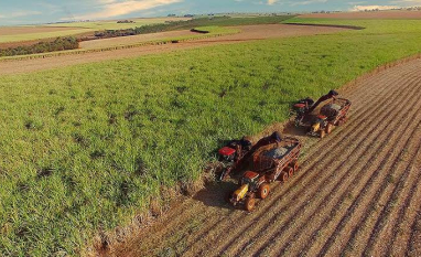 Safra forte, caixa fraco: por que as recuperações judiciais dispararam no agronegócio