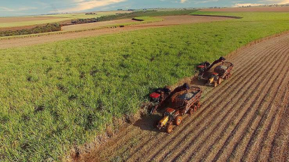 Safra forte, caixa fraco: por que as recuperações judiciais dispararam no agronegócio