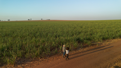Legado que inspira novas gerações no agro ganha destaque no Dia dos Pais
