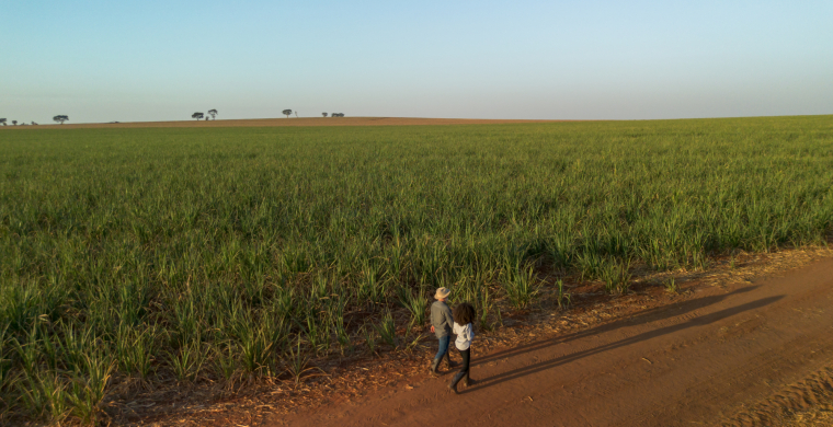 Legado que inspira novas gera&ccedil;&otilde;es no agro ganha destaque no Dia dos Pais