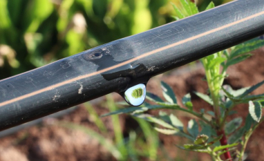 Netafim amplia investimentos em projetos e pós-venda para aumentar a eficiência da irrigação no campo