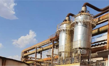 Usinas goianas ampliam negócios com produção de leveduras