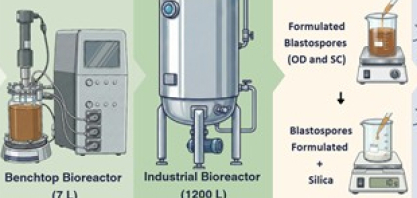 Novo processo viabiliza produção industrial de bioinseticidas com eficácia no controle de pragas agrícolas