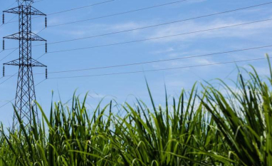 CPFL Soluções leva debate sobre expansão da bioeletricidade à Fenasucro & Agrocana 2026 