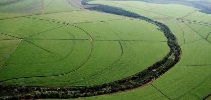 Beggio reforça protagonismo sustentável com relatório de carbono que aproxima canaviais de áreas de vegetação nativa
