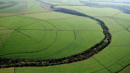 Beggio reforça protagonismo sustentável com relatório de carbono que aproxima canaviais de áreas de vegetação nativa
