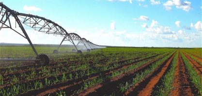 Manejo agronômico da irrigação será um dos destaques do 7º IRRIGACANA