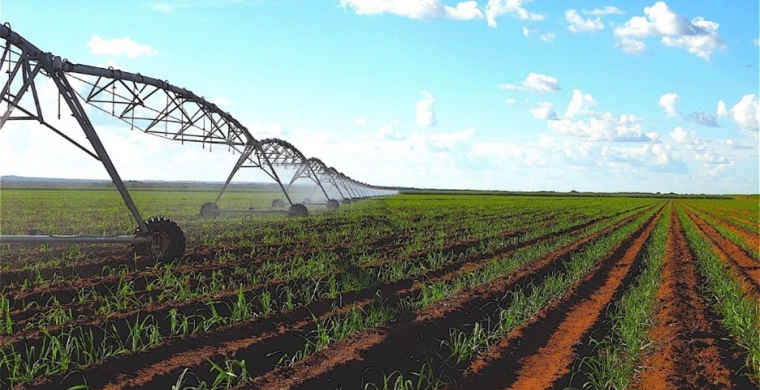 Manejo agron&ocirc;mico da irriga&ccedil;&atilde;o ser&aacute; um dos destaques do 7&ordm; IRRIGACANA