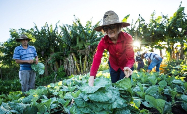 Ventos extremos e El Niño reforçam a urgência da agroecologia diante da crise climática