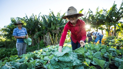 Ventos extremos e El Niño reforçam a urgência da agroecologia diante da crise climática