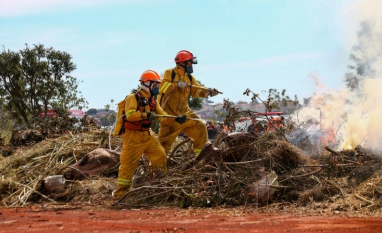 Onda de calor exige atenção redobrada dos produtores rurais
