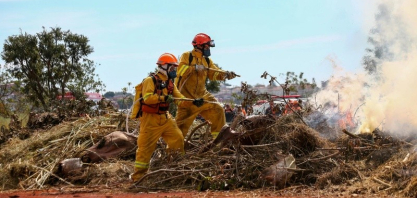Onda de calor exige atenção redobrada dos produtores rurais