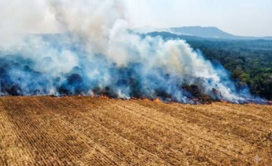 Super El Niño coloca quase 400 municípios sob risco de incêndios; período seco põe medidas de prevenção à prova 
