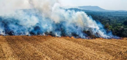 Super El Niño coloca quase 400 municípios sob risco de incêndios; período seco põe medidas de prevenção à prova 