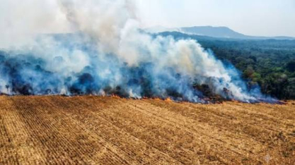 Super El Niño coloca quase 400 municípios sob risco de incêndios; período seco põe medidas de prevenção à prova 