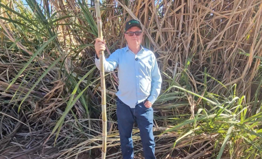 RAS Company investe no plantio de cana sobre cana e projeta mais de 200 t/ha em área de sequeiro