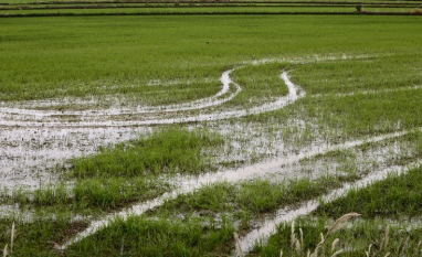 Manejo adequado do solo ajuda produtor a recuperar áreas e reduzir perdas após chuvas