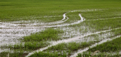 Manejo adequado do solo ajuda produtor a recuperar áreas e reduzir perdas após chuvas