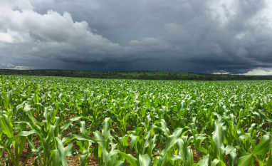 El Niño forte aumenta risco para o agronegócio