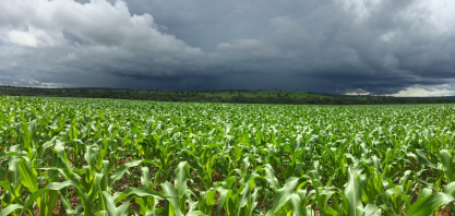 El Niño forte aumenta risco para o agronegócio