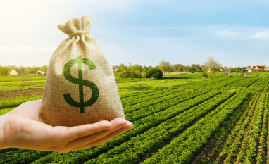 Produtores acessam R$ 28,2 bilhões em crédito no primeiro mês da safra; organização financeira influencia análise