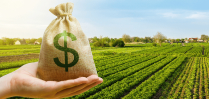 Produtores acessam R$ 28,2 bilhões em crédito no primeiro mês da safra; organização financeira influencia análise