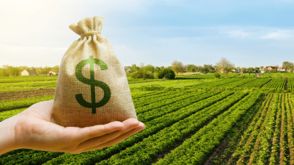 Produtores acessam R$ 28,2 bilhões em crédito no primeiro mês da safra; organização financeira influencia análise