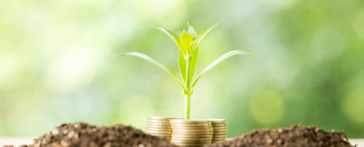 Cr&eacute;dito Verde e planejamento financeiro entram na pauta do setor bioenerg&eacute;tico