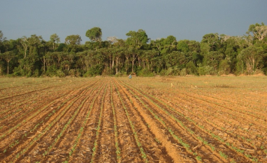 E se o algoritmo disser que sua fazenda desmatou — e estiver errado?