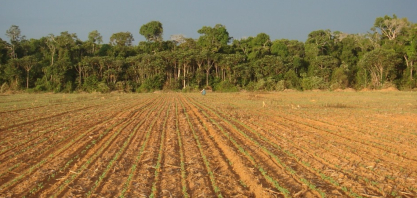 E se o algoritmo disser que sua fazenda desmatou — e estiver errado?